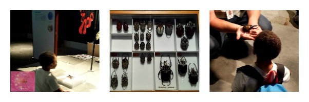 Reese_Speaks_Museum_Of_Nature_Big_Bugs_Exhibit_Photo_10212015